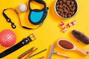 Dog accessories on yellow background. Top view. Pets and animals concept photo