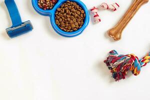 Dog care items, isolated on white background. Dry pet food in bowl, toy and bones. Top view photo