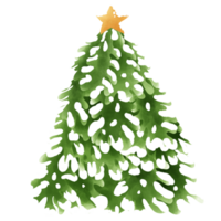 Illustration of a green christmas tree filled with snow png