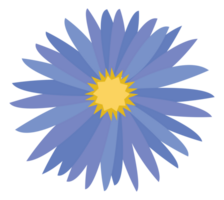 aster bloem PNG transparant achtergrond