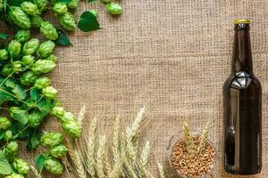 Bottle of beer with Brewing ingredients. Hop flower with wheat. Top view photo