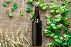 Bottle of beer with Brewing ingredients. Hop flower with wheat. Top view photo