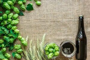 botella y vaso cerveza con fabricación de cerveza ingredientes. salto flor con trigo. parte superior vista. foto