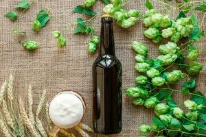 botella y vaso cerveza con fabricación de cerveza ingredientes. salto flor con trigo. parte superior vista. foto