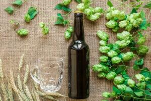 botella y vaso cerveza con fabricación de cerveza ingredientes. salto flor con trigo. parte superior vista. foto