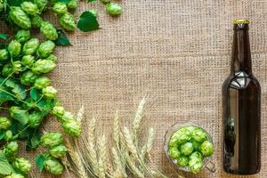 Bottle and Glass beer with Brewing ingredients. Hop flower with wheat. Top view. photo