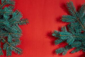 Fir branches border on red background, good for christmas backdrop photo