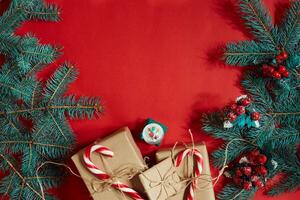 Fir branch and gift box on red background photo