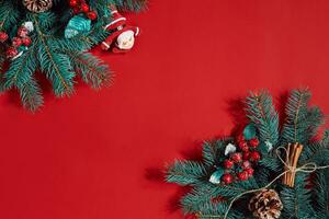 Fir branches border on red background, good for christmas backdrop photo