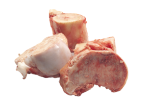 bovine bones with marrow png