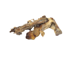 chicken bones and leftovers png