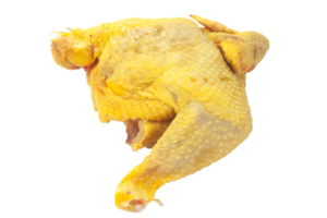 piece of capon png