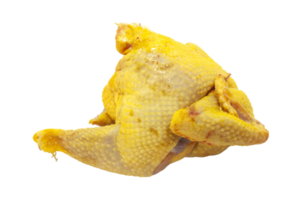 piece of capon png