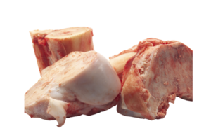 bovine bones with marrow png