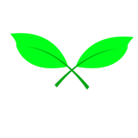 Green leaf ecology nature element png