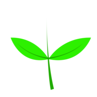 Green leaf ecology nature png