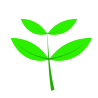 Green leaf graphic png