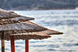 Sun loungers and umbrellas are on the beach in Budva, Montenegro. photo