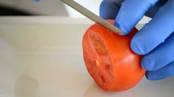 professioneel chef handen snijdend een tomaat in plakjes en klein pleinen video