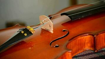 Placing strings to a classical violin in luthier workplace video