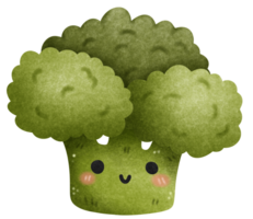 Isolated cute and happy smiling green broccoli vegetable character in transparent background png