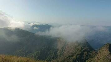 Morning day mist blows with wind on the peak of mountain in Thailand video