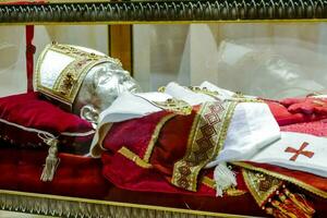 a statue of a pope is in a glass case photo