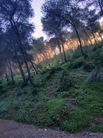 trekking dentro el corazón de el salvaje y intacto natural paisaje foto