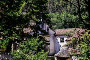 an old house in the woods with trees and bushes photo