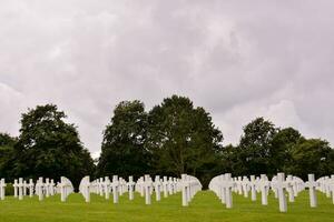 rows of white crosses in a grassy field photo