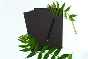 Natural composition with sketchbook and pencils on white table, decorated with green branches. Flat lay, top view, view from above photo