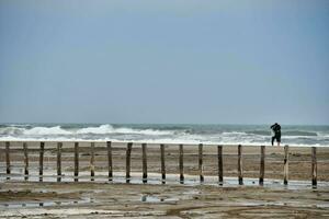 people standing on the beach photo