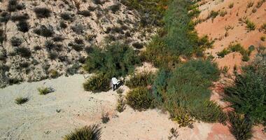 Exausta homem caminhando em a espanhol deserto video