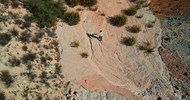 esausto uomo a piedi su il spagnolo deserto video