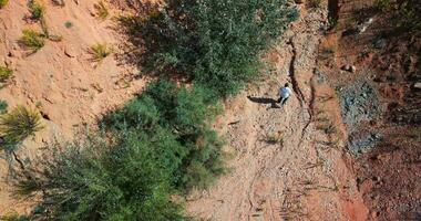 cansado homem caminhando em a deserto video