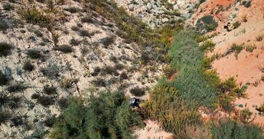 cansado mand caminando en el Desierto video