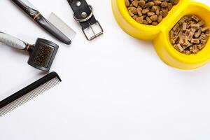 Collar, bowl with feed, leash, delicacy, combs and brushes for dogs. Isolated on white background photo