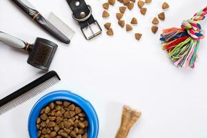 Collar, bowl with feed, leash, delicacy, combs and brushes for dogs. Isolated on white background photo