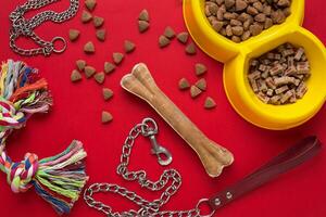 Pet accessories on red background. Top view photo