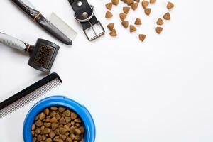 Collar, bowl with feed, leash, delicacy, combs and brushes for dogs. Isolated on white background photo