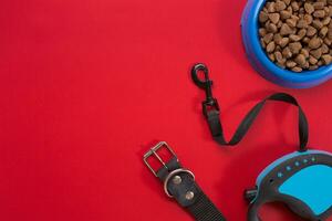 Collar, blue bowl with feed, leash and delicacy for dogs. Isolated on red background photo