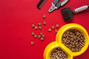 Pet accessories on red background. Top view photo