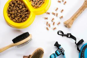 Collar, bowl with feed, leash, delicacy, combs and brushes for dogs. Isolated on white background photo