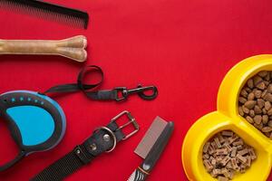 Pet accessories on red background. Top view photo