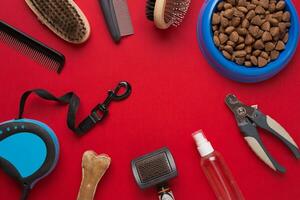 Pet accessories on red background. Top view photo