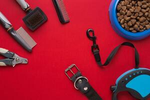 Collar, bowl with feed, leash, delicacy, combs and brushes for dogs. Isolated on red background photo