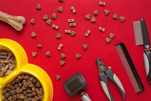 Pet accessories on red background. Top view photo