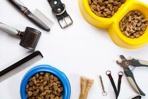 Collar, bowl with feed, leash, delicacy, combs and brushes for dogs. Isolated on white background photo