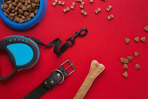 Pet accessories on red background. Top view photo