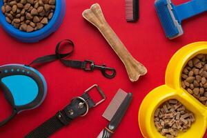 Pet accessories on red background. Top view photo